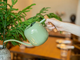 Green Moon watering can with decorative and functional appeal in sage green.