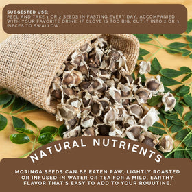 Green Royalty Moringa seeds in tea infuser, tasting notes and gentle energy.