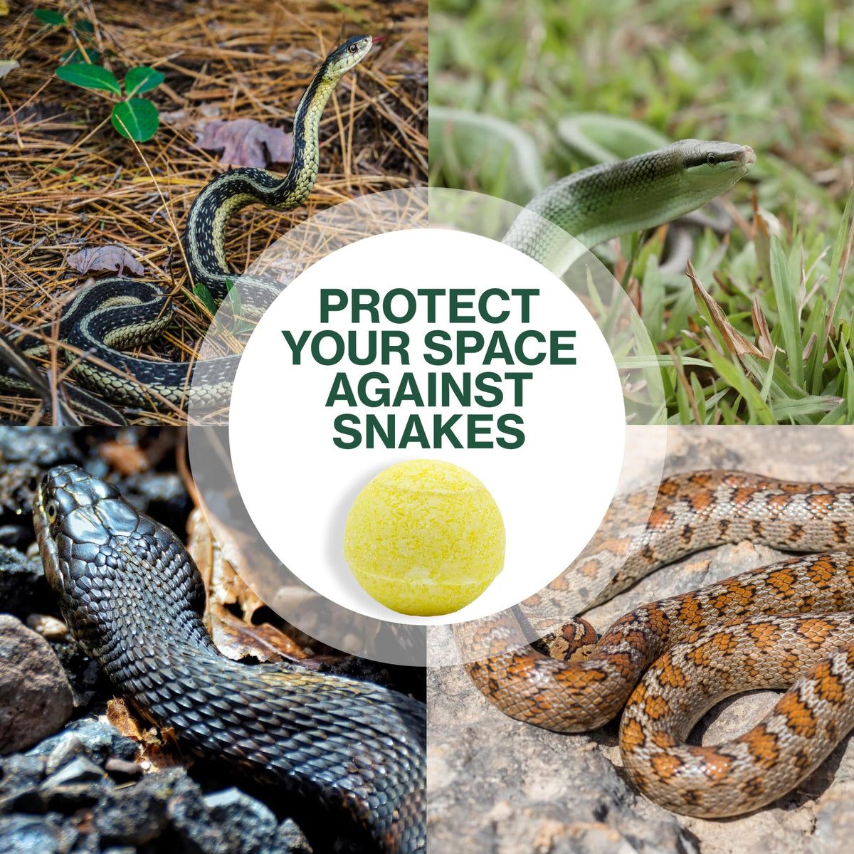 Greenbase snake repellent balls in garden setup showing deterrence