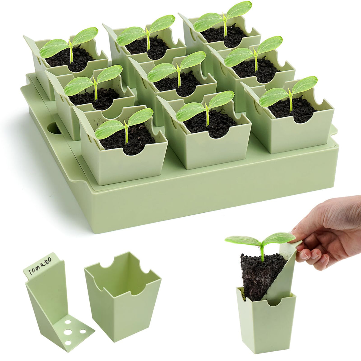 GREENBAZZAR seed starter tray base with humidity dome for reliable indoor germination.