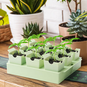 GREENBAZZAR seed starter tray enables easy transplanting with dual handles.