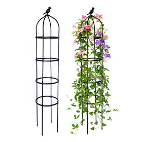 GreenGiggle 2-pack garden obelisk trellis supports vertical growth for climbing plants.