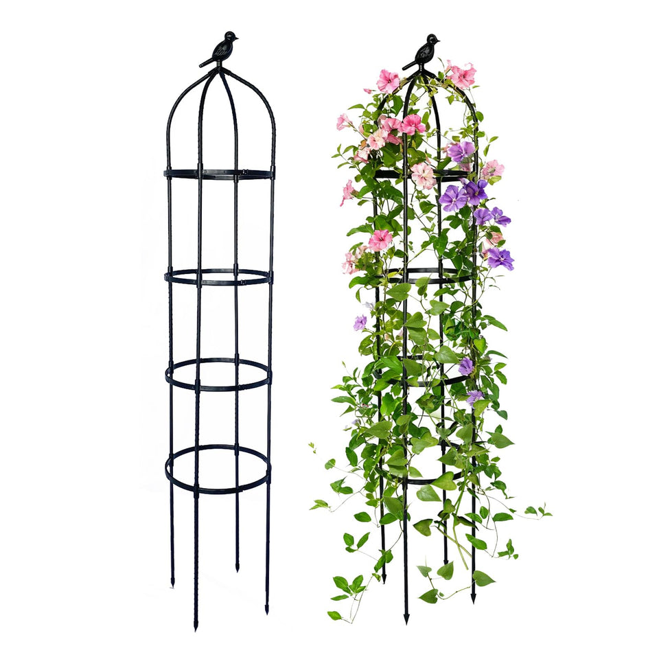 GreenGiggle 2-pack garden obelisk trellis supports vertical growth for climbing plants.