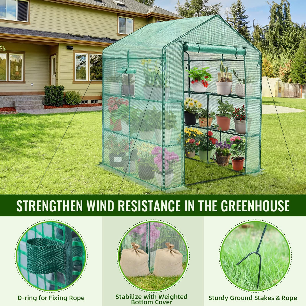 Greengro Greenhouse screened-windows help regulate airflow and humidity.
