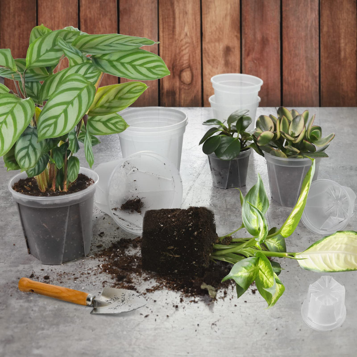 GreenPara sturdy polypropylene construction demonstrates durability.