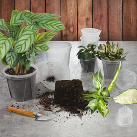 GreenPara sturdy polypropylene construction demonstrates durability.
