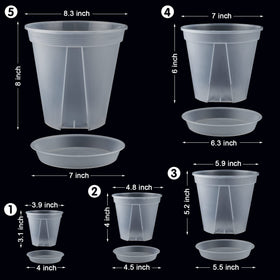GreenPara five-inch transparent pot with saucer for herbs and compact plants.