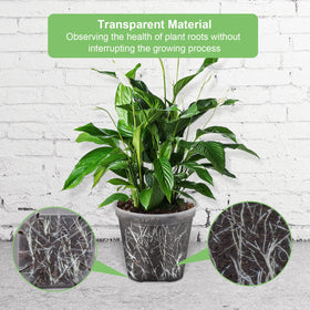 GreenPara seven-inch pot with saucer for larger houseplants.