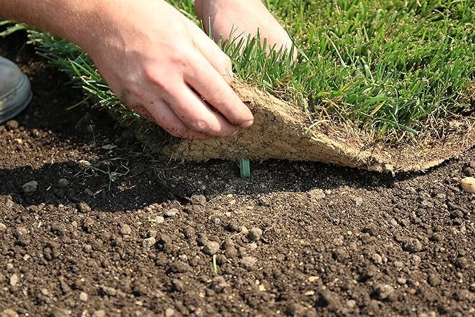 GreenStake bulk pack of 500 for efficient large-scale setups.