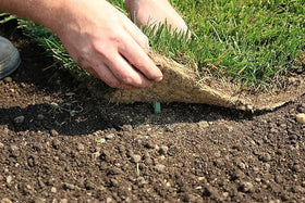 GreenStake bulk pack of 500 for efficient large-scale setups.