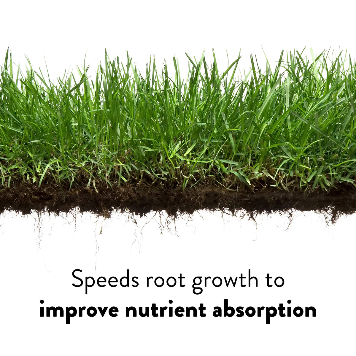 GreenView Crabgrass Control Plus Lawn Food provides 5,000 sq ft coverage to support big lawns