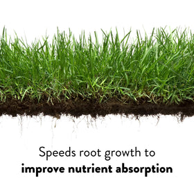 GreenView Crabgrass Control Plus Lawn Food provides 5,000 sq ft coverage to support big lawns