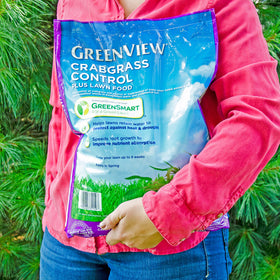 GreenView Crabgrass Control Plus demonstrates spring green up on well-nourished turf