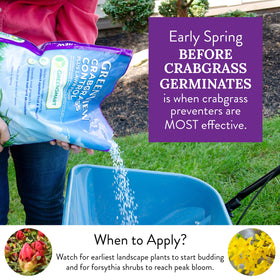 GreenView Crabgrass Control Plus Lawn Food spreader-ready spread on turf for even nutrient delivery