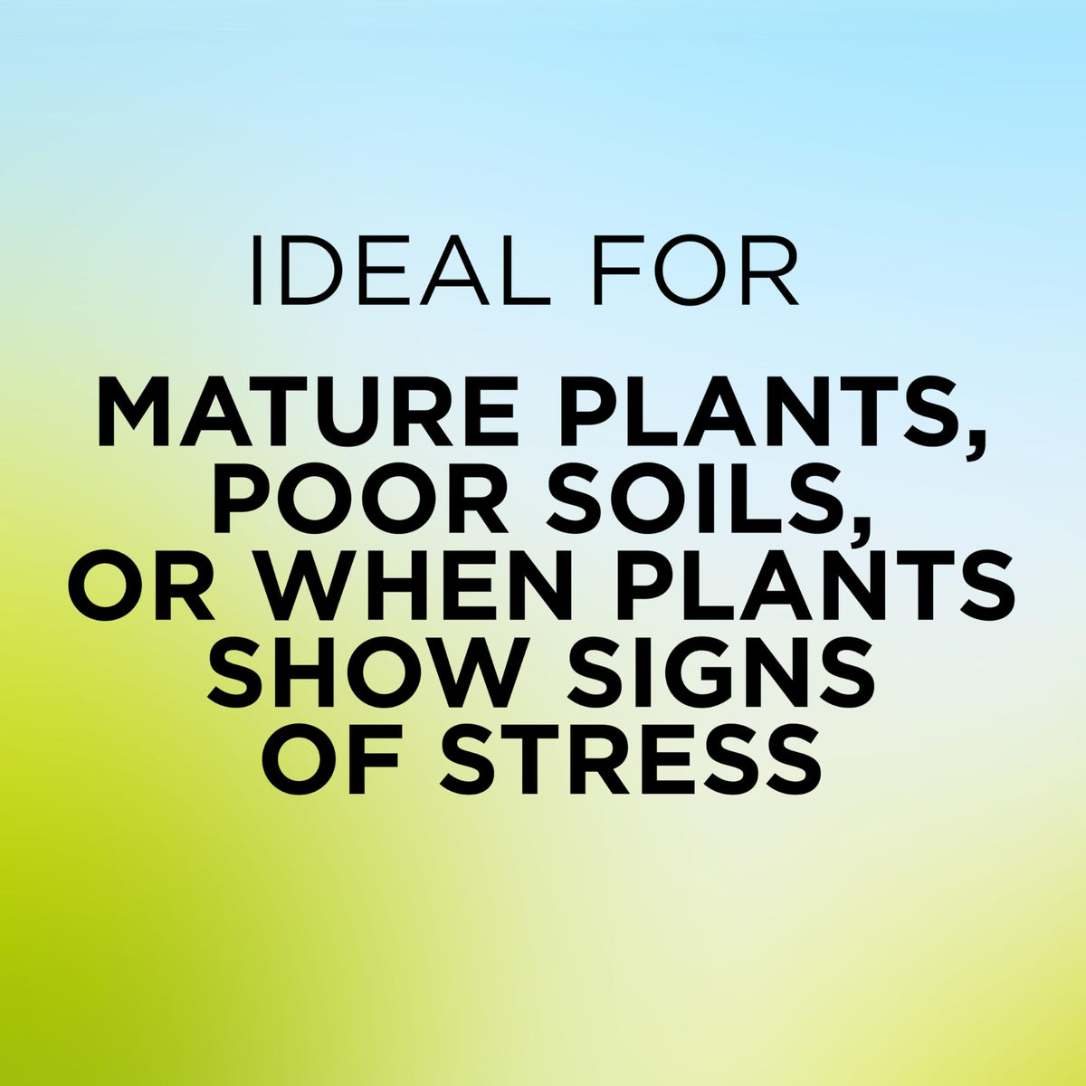 GreenView supports a strong root system with added nutrients.