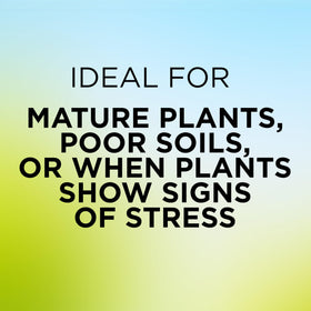 GreenView supports a strong root system with added nutrients.