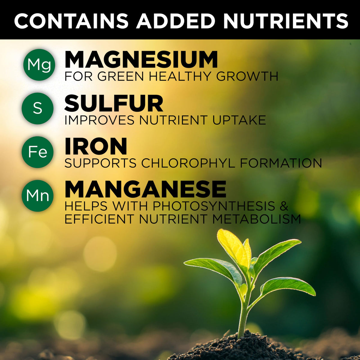 GreenView used around trees and shrubs for improved overall health and color.