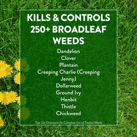 GreenView GreenSmart Enhanced Efficiency Fertilizer granules provide extended feeding for lawns