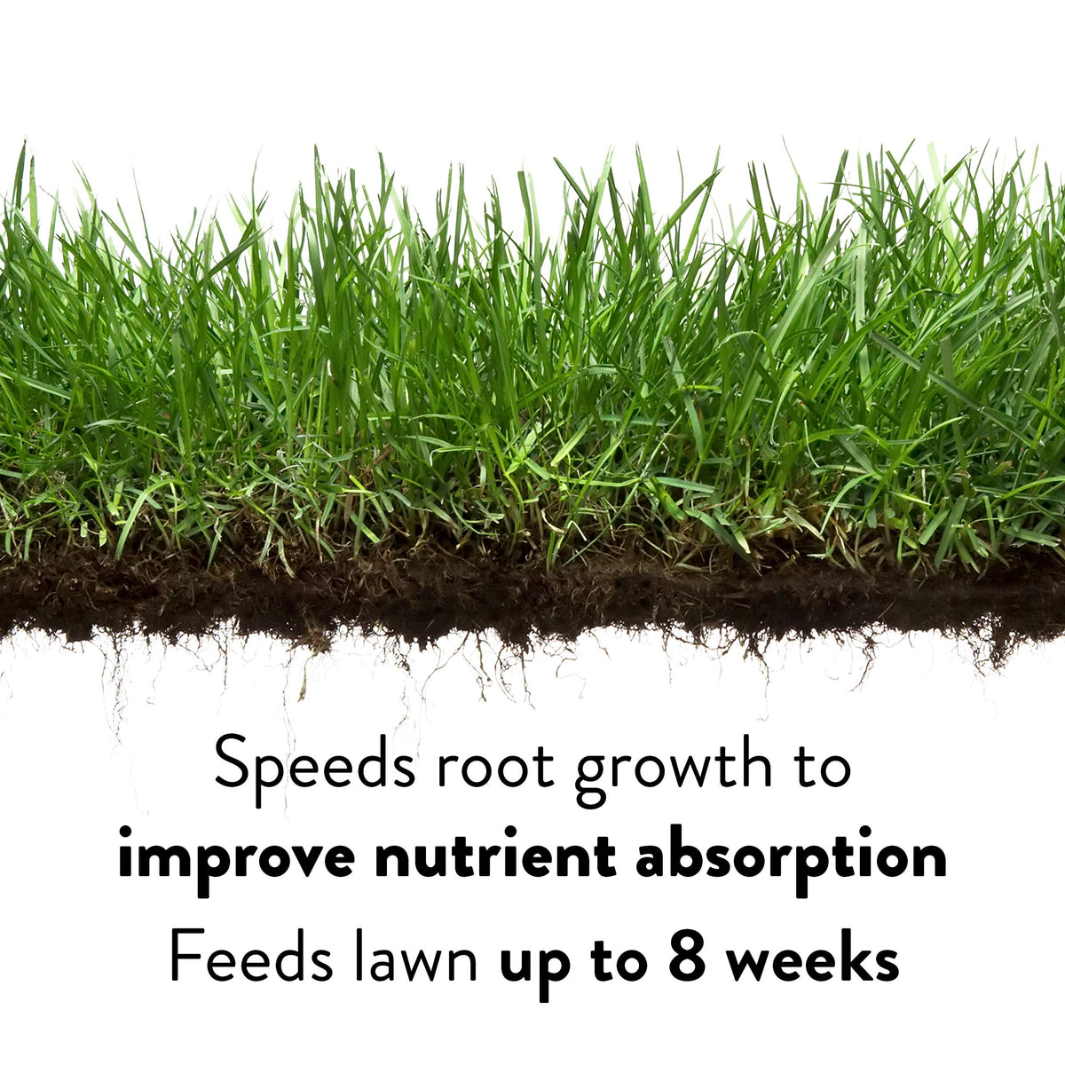 GreenView Lawn Food demonstrates drought resilience through improved water retention.