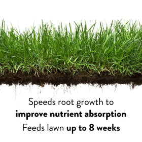 GreenView Lawn Food demonstrates drought resilience through improved water retention.
