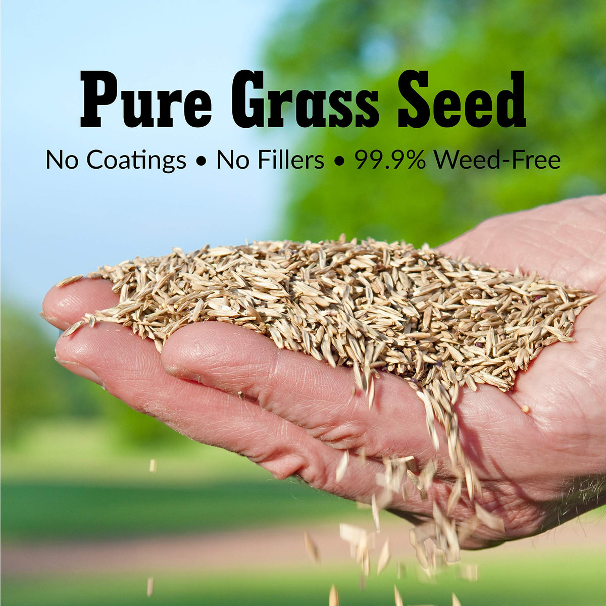 GreenView Pure Grass Seed germination in 10-14 days supports rapid growth