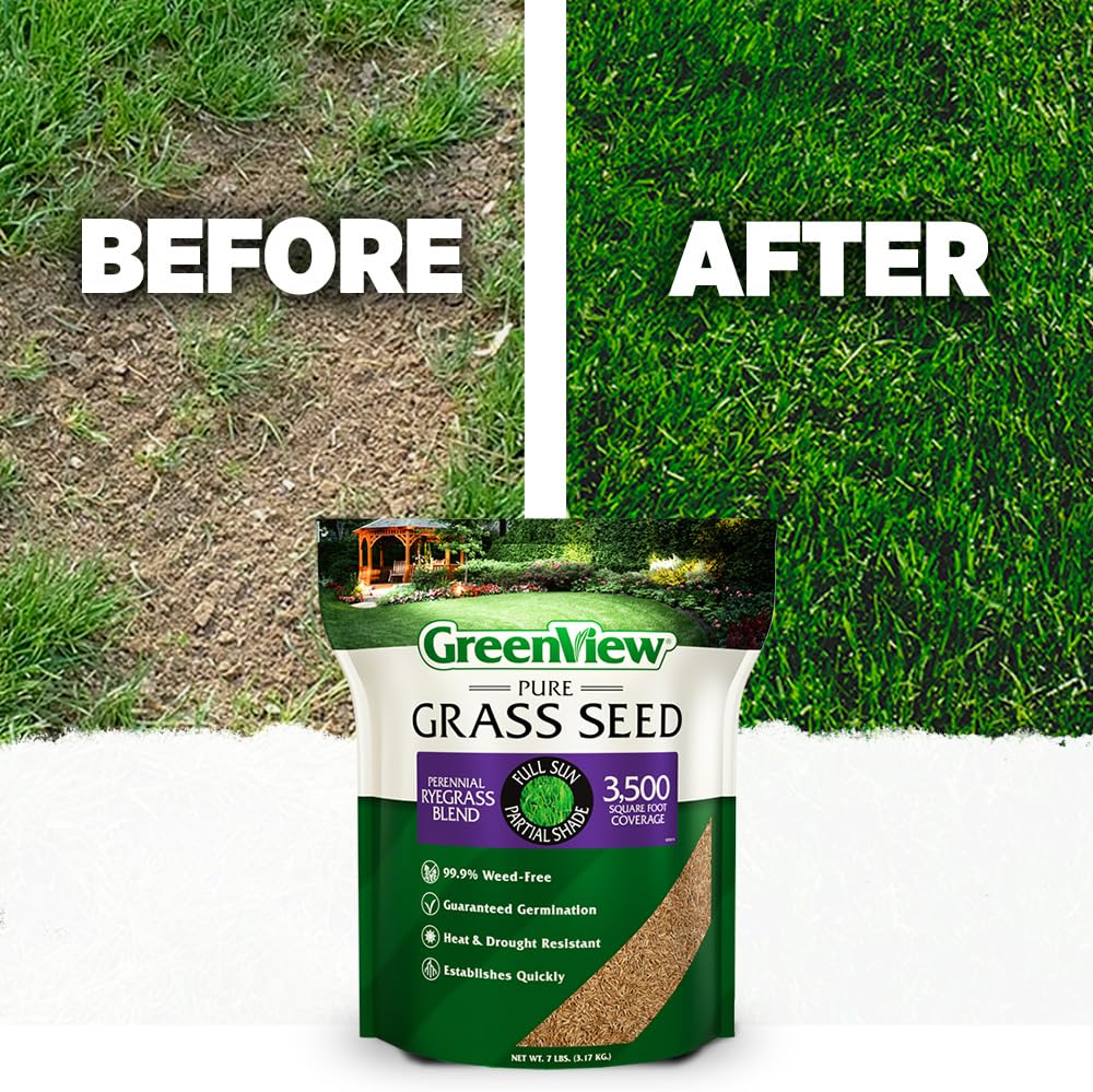 GreenView Pure Grass Seed coverage up to 1,500 sq ft for overseeding.