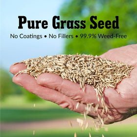 GreenView Pure Grass Seed Sun & Shade Blend promotes even germination across lawn