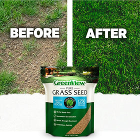 GreenView Pure Grass Seed 99.9% weed-free formula supports pristine turf