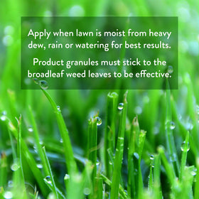 GreenView formula helps faster spring green up for a vibrant lawn