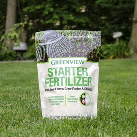 Phosphorus-rich GreenView fertilizer supports seed germination and growth.