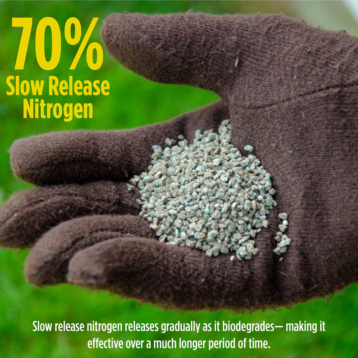 GreenView Turf Nurture promotes root growth for healthier grass.