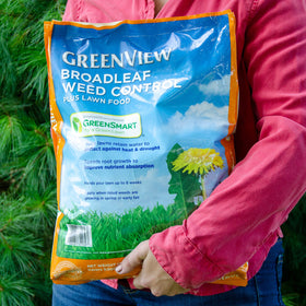 GreenView kills over 250 common lawn weeds including dandelions and clover