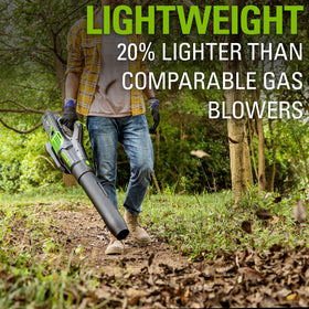 Greenworks 80V axial blower cruise control maintains steady airflow.