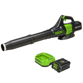 Greenworks 80V blower in use clearing a neat driveway of leaves.