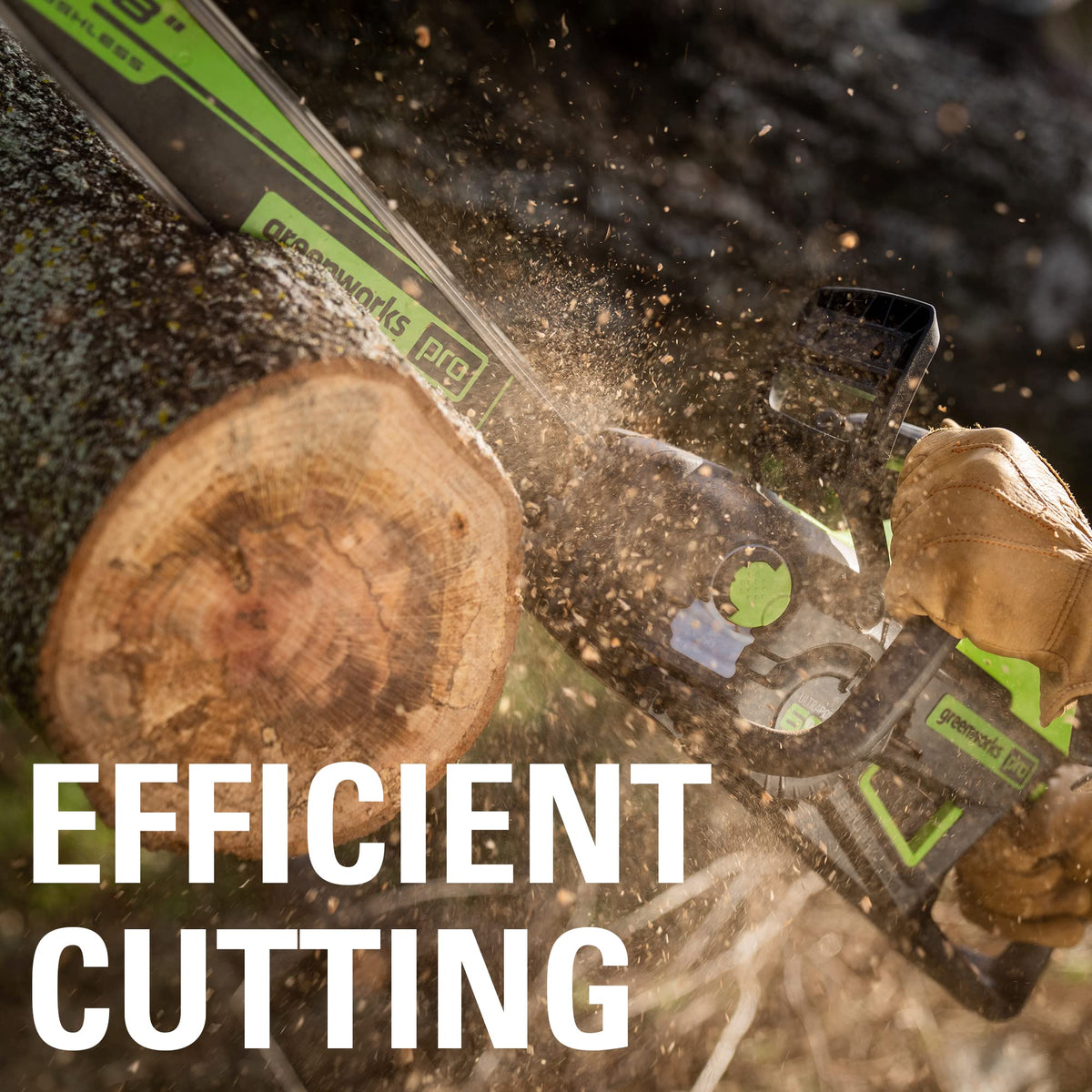 GreenWorks corded replacement part supports gas-free operation.