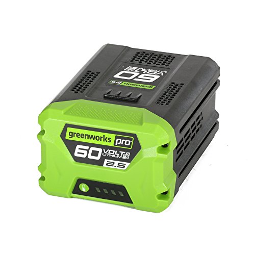 Greenworks Pro 60V battery with on board indicator for quick power status check.