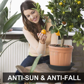 GREGICH assorted sizes pack image shows variety for different pots and setups.