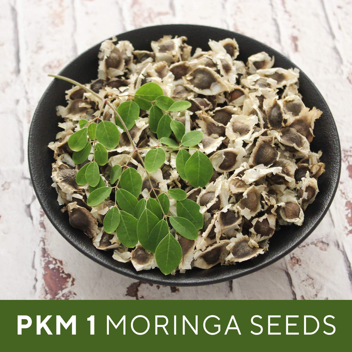 Grenera Moringa seeds edible snack rich in nutrients for a quick bite