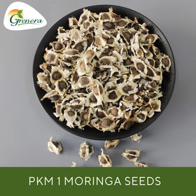 Grenera guidance on moringa seed germination for a successful start.