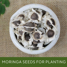 Grenera seeds cleaned for purity and ready to plant or snack