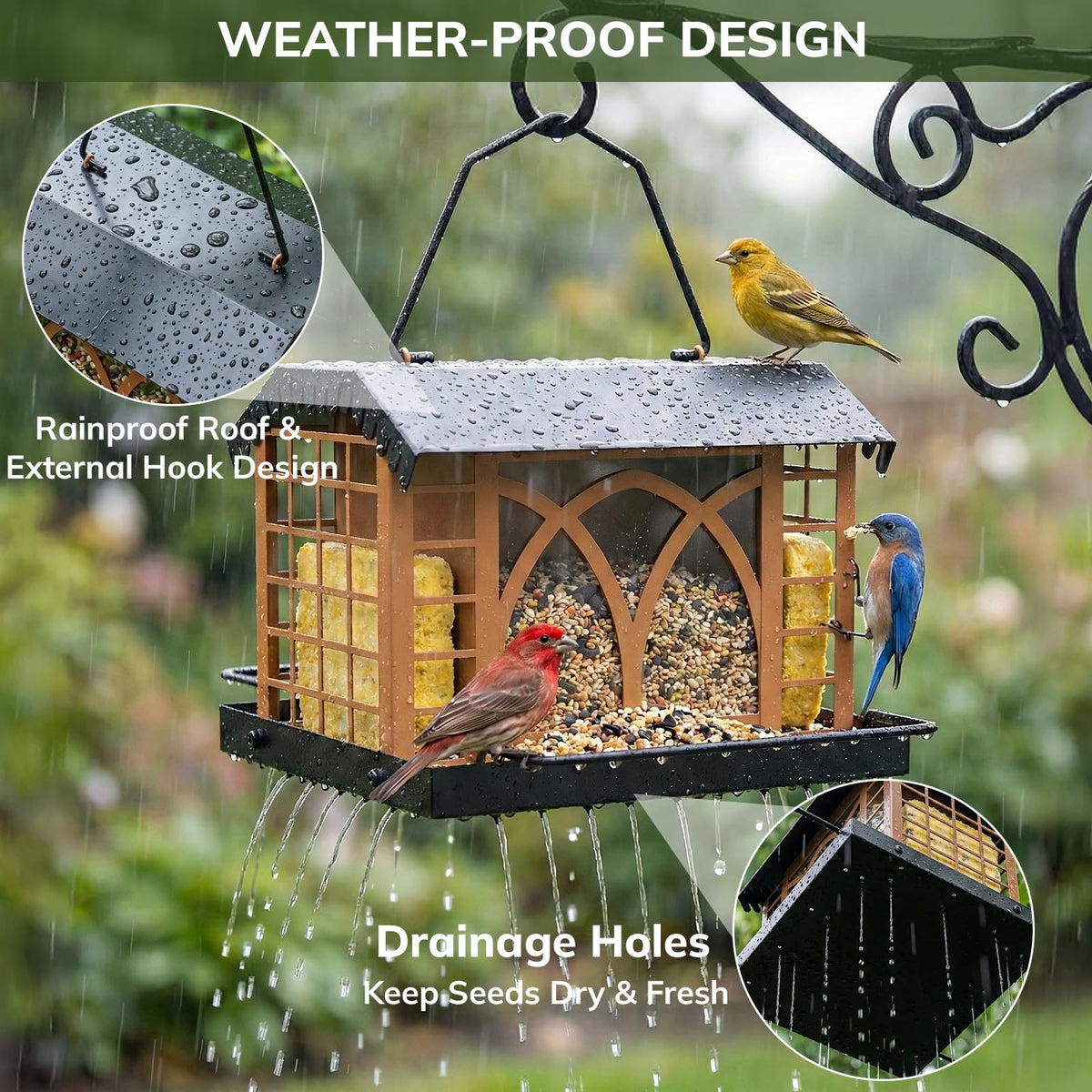 Grete Gotye bird feeder anti-squirrel locking hook protects food for peaceful birds.