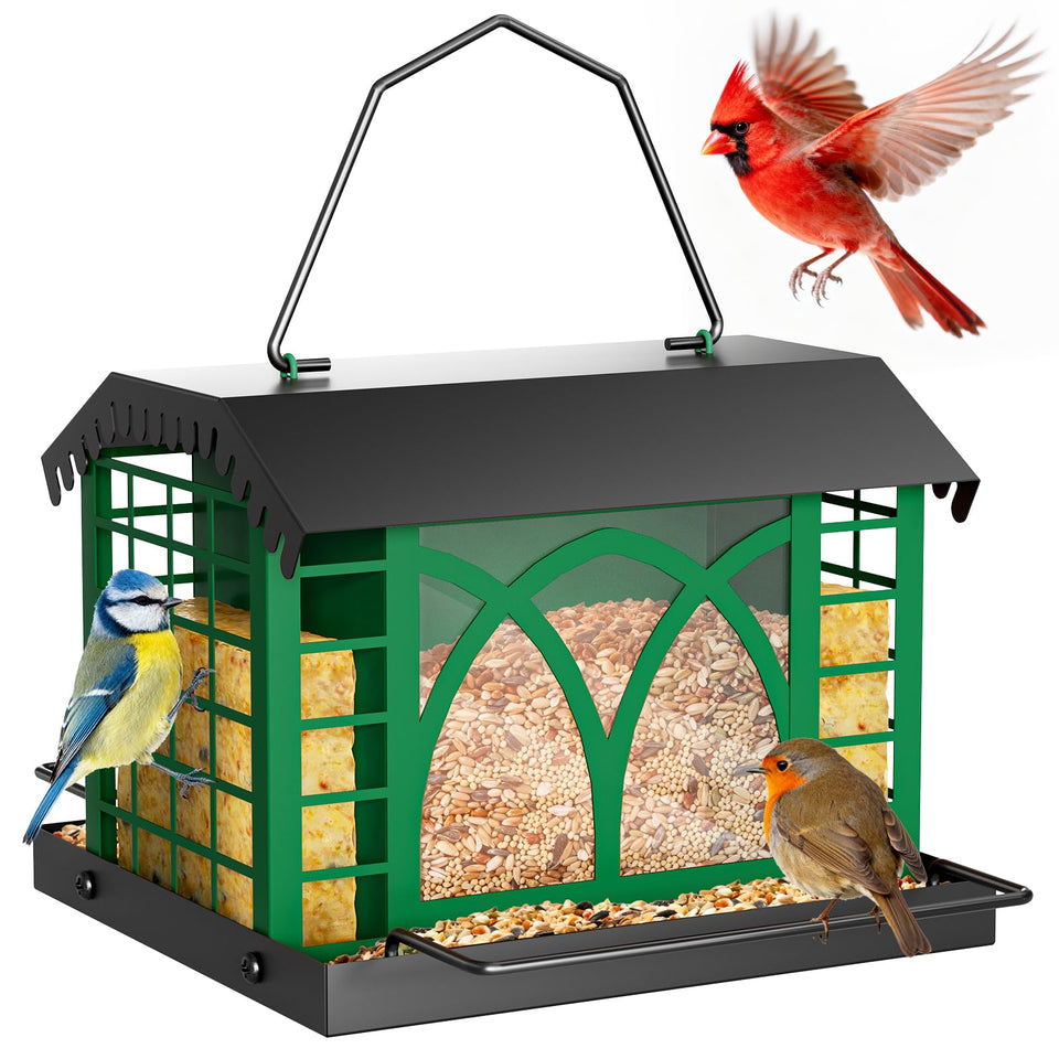 Grete Gotye bird feeder with dual suet cages attracting diverse backyard birds