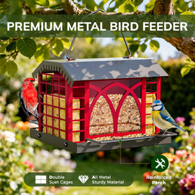 Two perches provide a comfortable resting spot for visiting birds