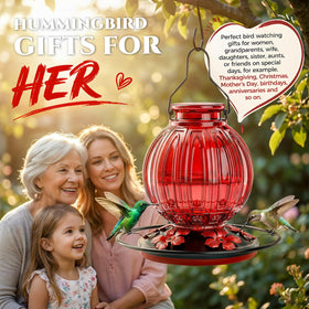 Grete Gotye hummingbird feeder offers gift-ready outdoor appeal