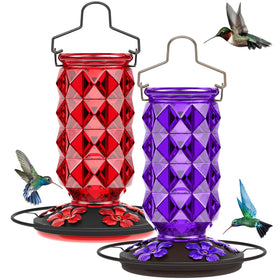 Grete Gotye glass hummingbird feeder assembly for durable outdoor use