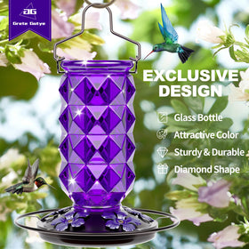 Grete Gotye Glass Hummingbird Feeder five flower ports attract multiple birds