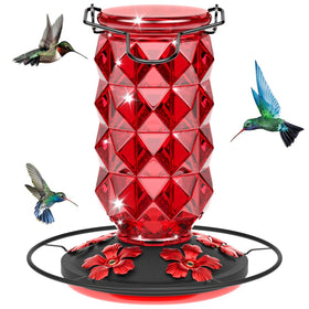 Grete Gotye glass hummingbird feeder outdoors with vibrant finish and 25 oz nectar capacity.
