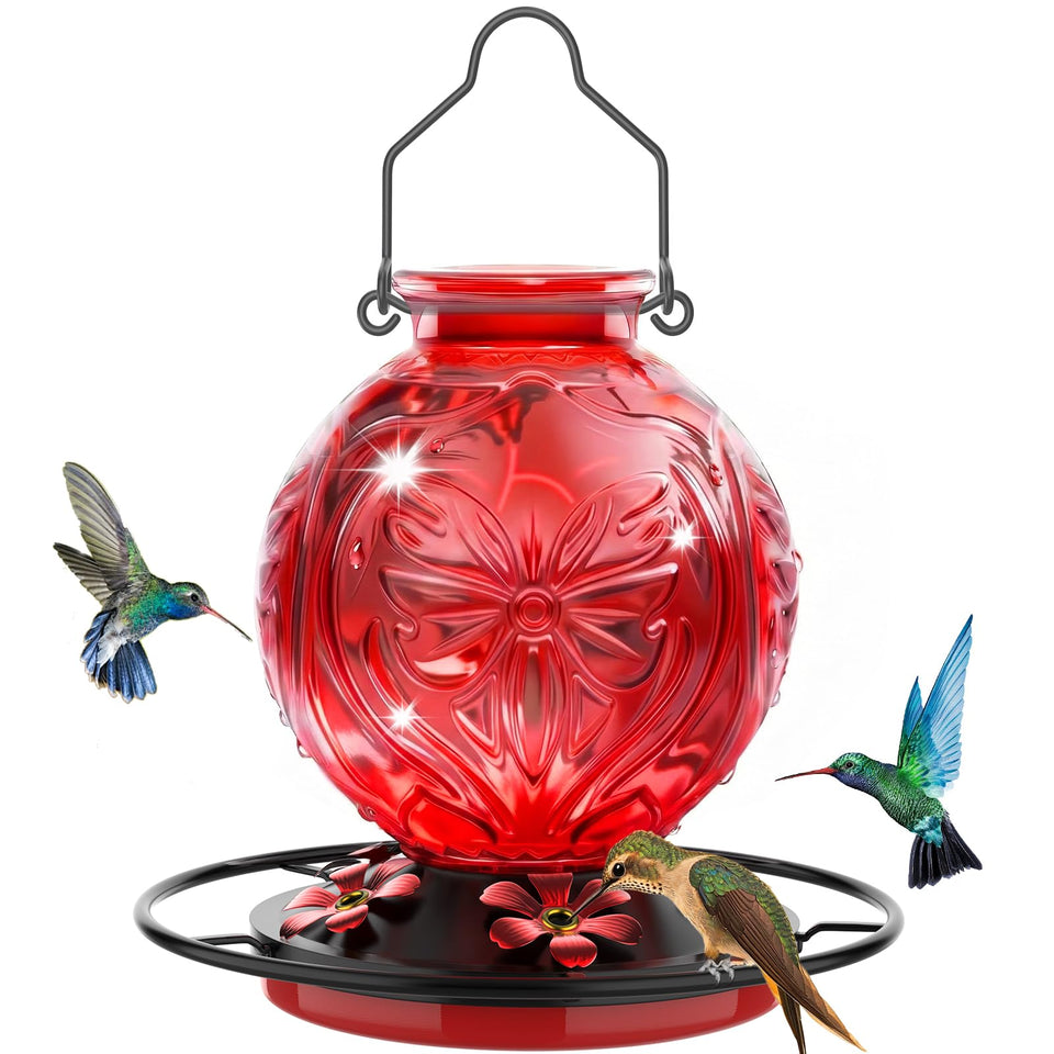 Grete Gotye glass hummingbird feeder outdoors attracts hummingbirds to your garden