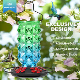 Grete Gotye hanging feeder with five ports and perch for multiple hummingbirds