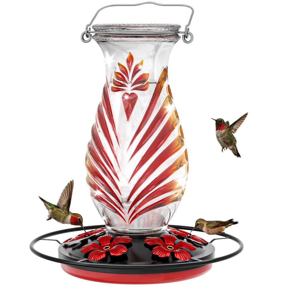 Grete Gotye hummingbird feeder 24oz glass for durable outdoor feeding